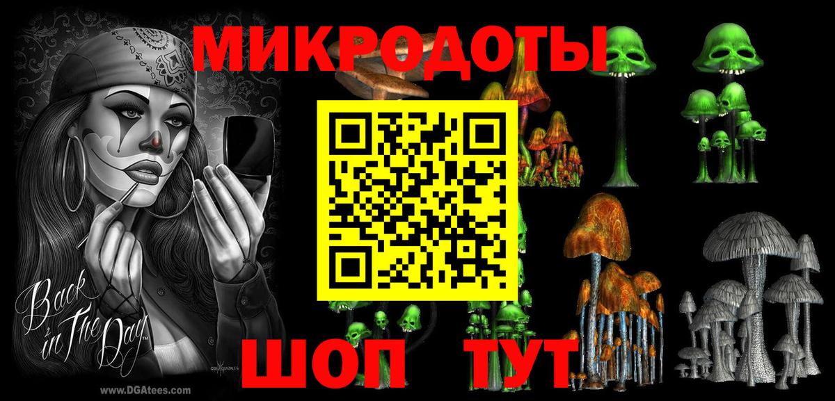 Галлюциногенные грибы GOLDEN TEACHER  Вход с VPN  Чапаевск 